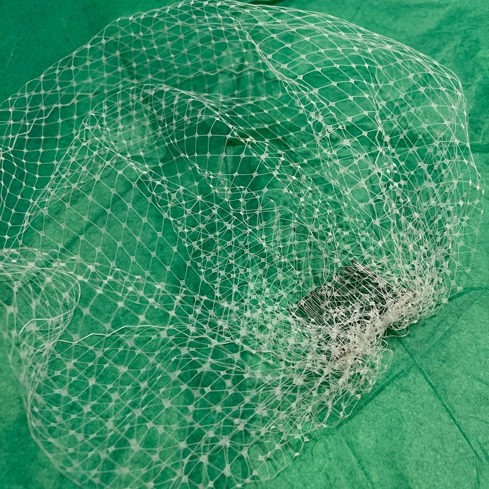 Classic White Birdcage Veil Hair Net